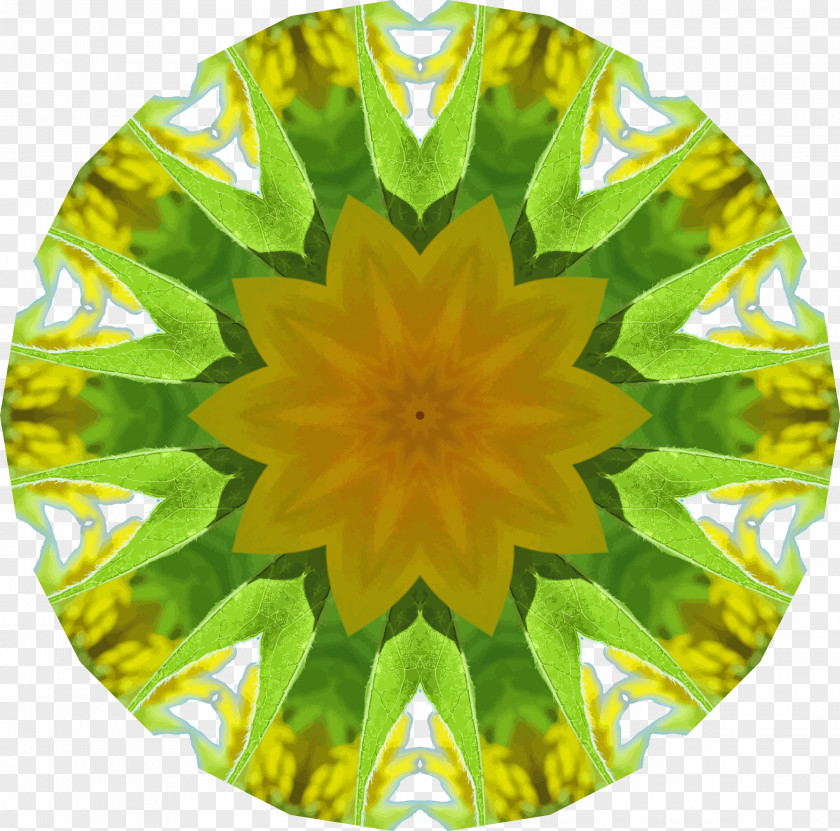 Sunflower Common Seed Kaleidoscope Symmetry Pattern PNG