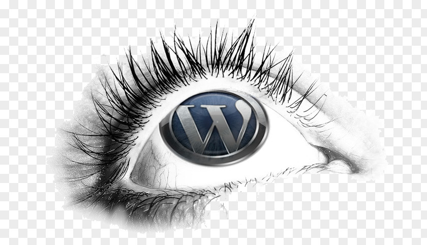 WordPress Theme Content Management System Blog PNG