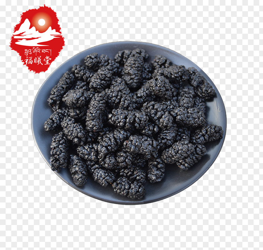Black Mulberry Superfood PNG