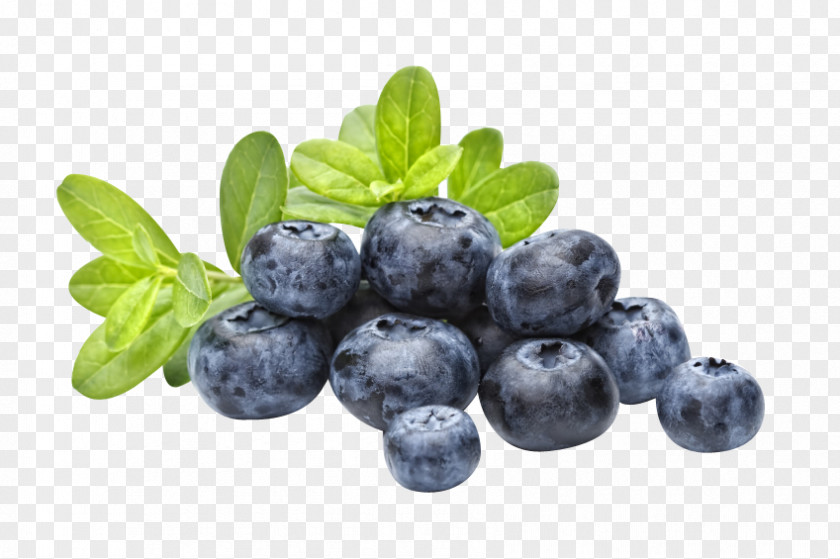 Blueberry Organic Food Drying Frozen Whole PNG