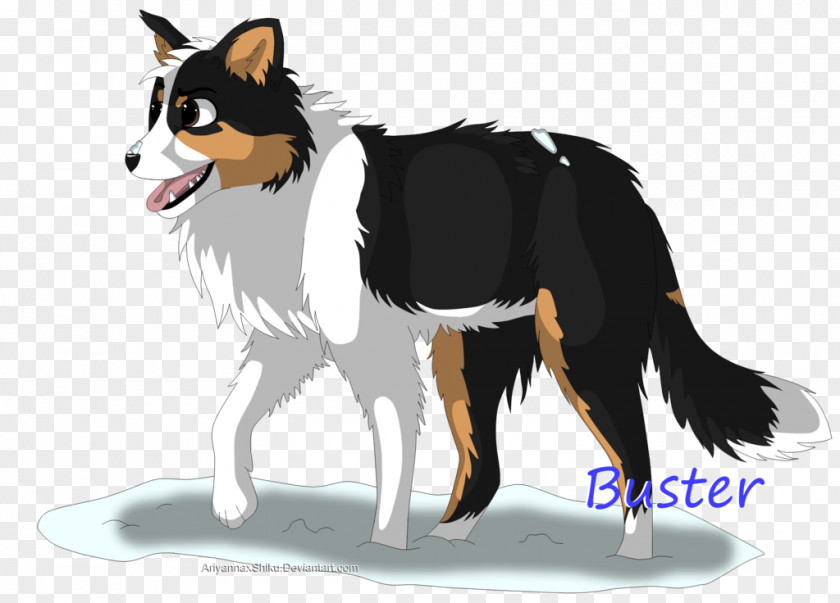 Border Collie Mirlo Dog Breed Rough Snout Fur PNG