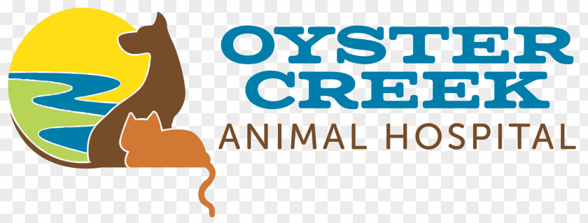 Changzhou Hongmei Park Animal Hospital Oyster Creek (Texas) Veterinarian Cat PNG