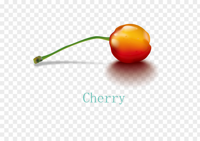 Cherry Physical Map Auglis PNG