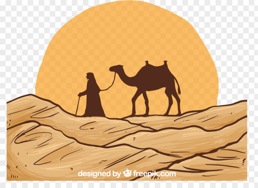 Desert Sahara Bactrian Camel Painted Landscape PNG