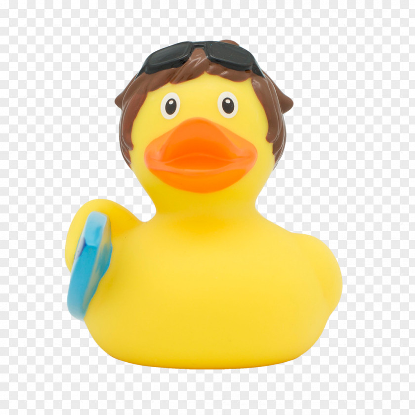 Duck Rubber Amazonetta Tirelire Piggy Bank PNG