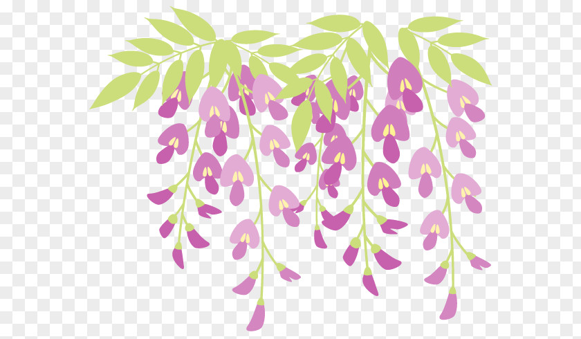 Floral Background Material Japanese Wisteria Green Illustration Flower Water Lily PNG