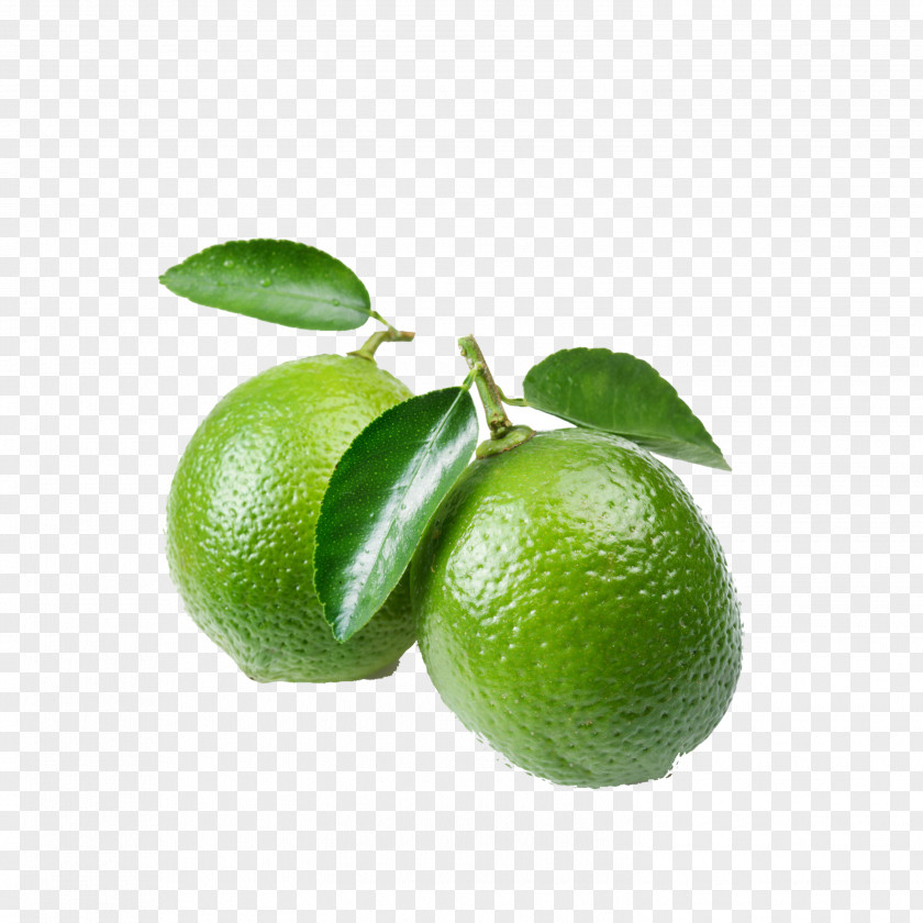 Orange Juice Bitter Lemon Grapefruit PNG