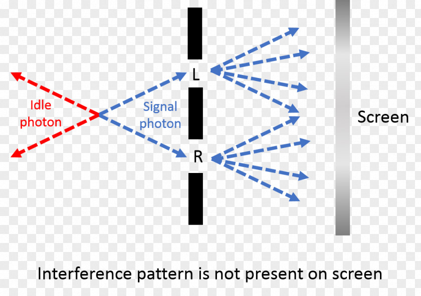 Science Double-slit Experiment Quantum Entanglement Eraser Wave Interference PNG