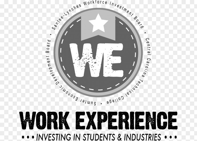WORK EXPERIENCE Logo Brand Font PNG