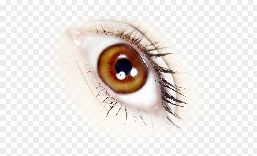 Eye PNG