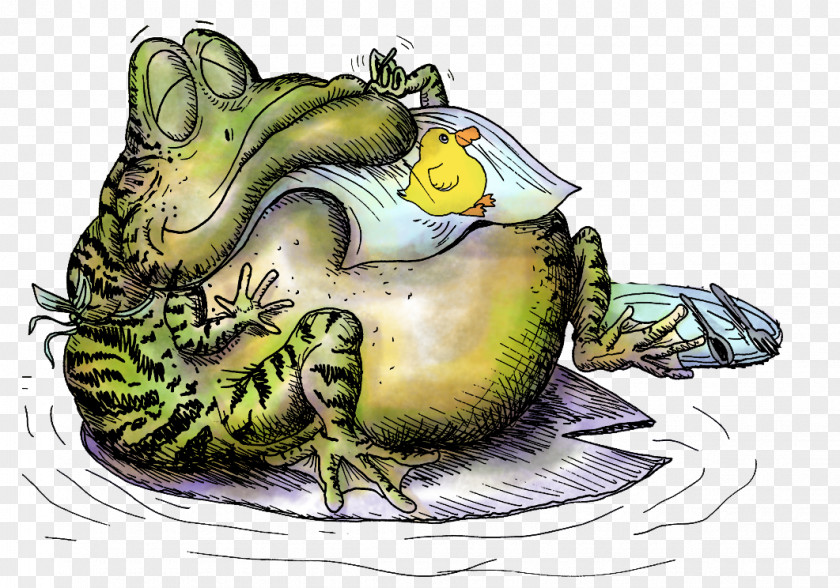 Frog Art Illustrator PNG