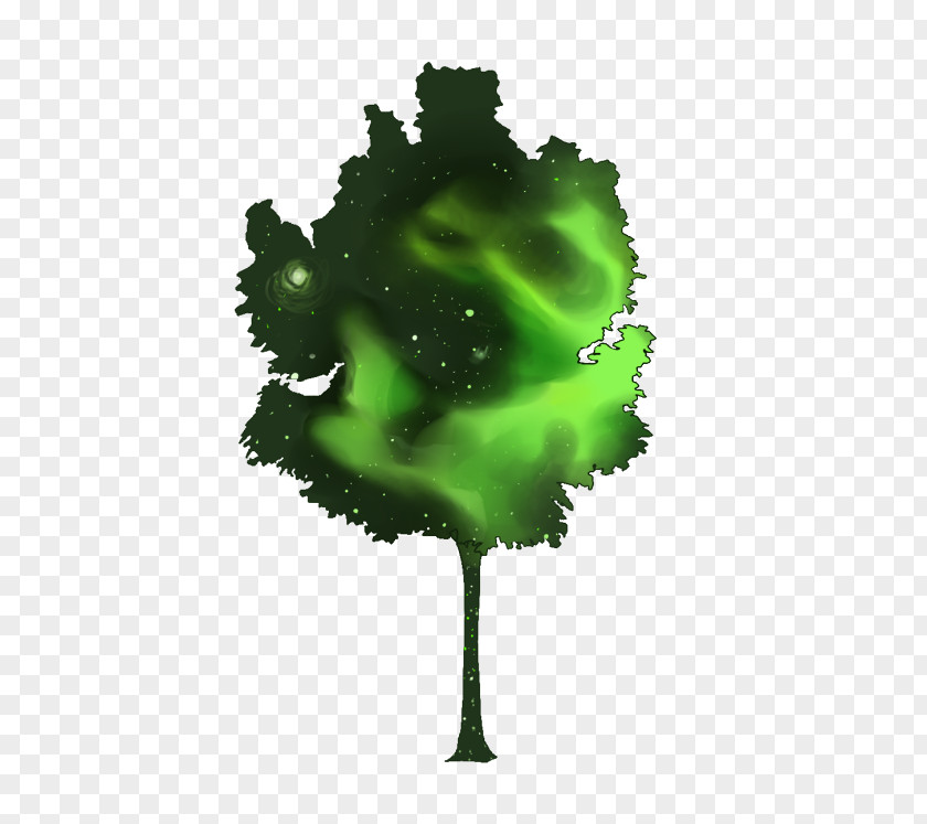 Leaf Plant Stem Tree PNG