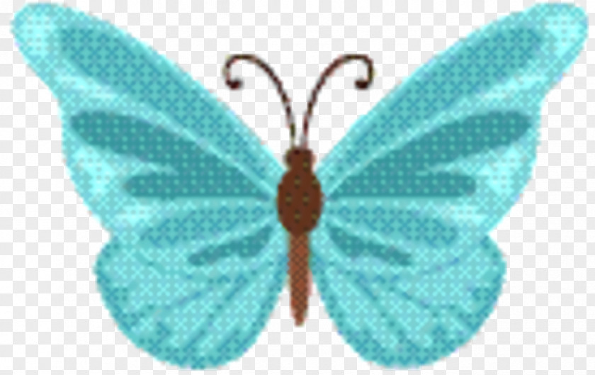 Lycaenid Symmetry Butterfly Cartoon PNG