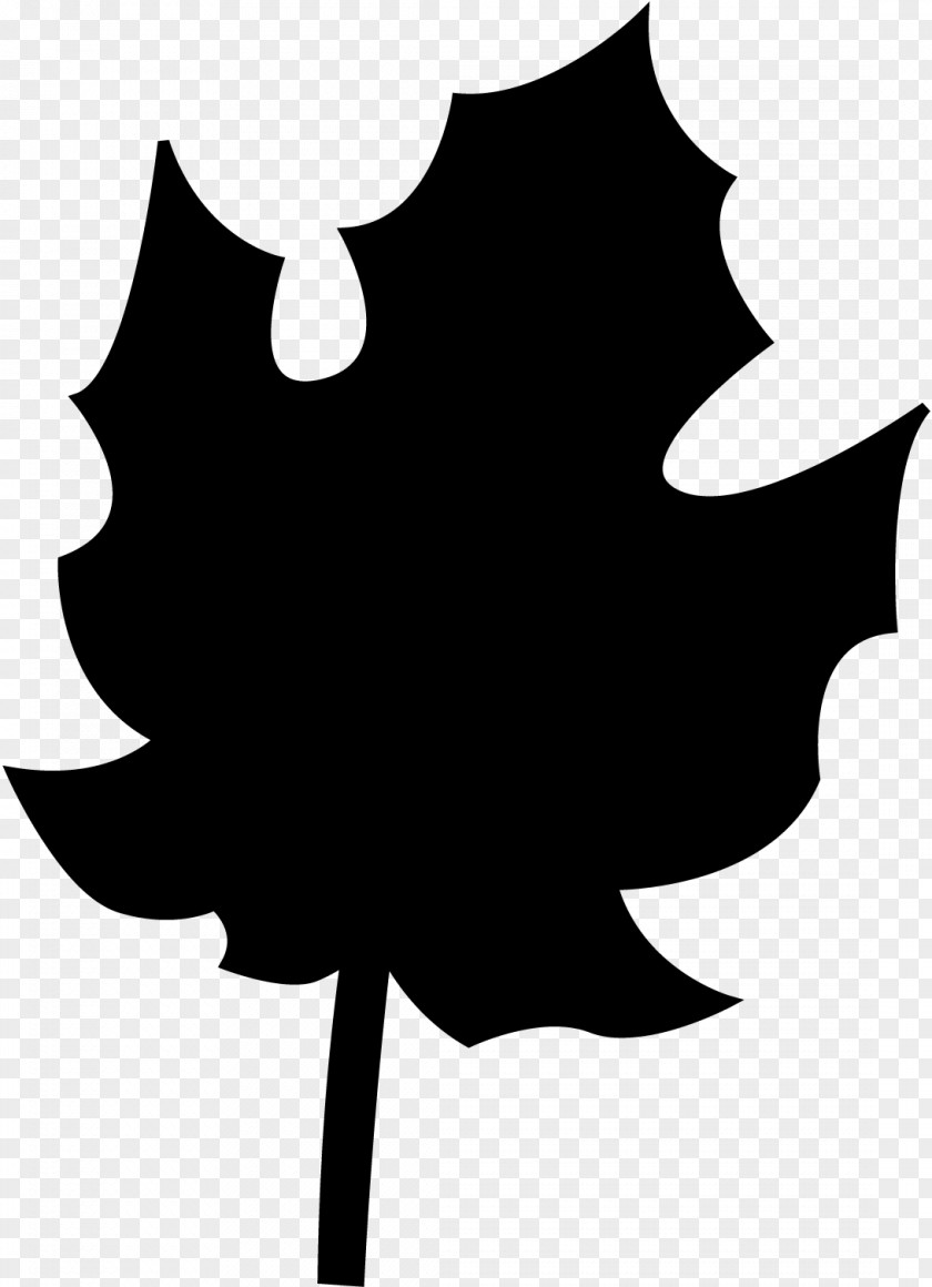 M Flower Silhouette Leaf Clip Art Black & White PNG