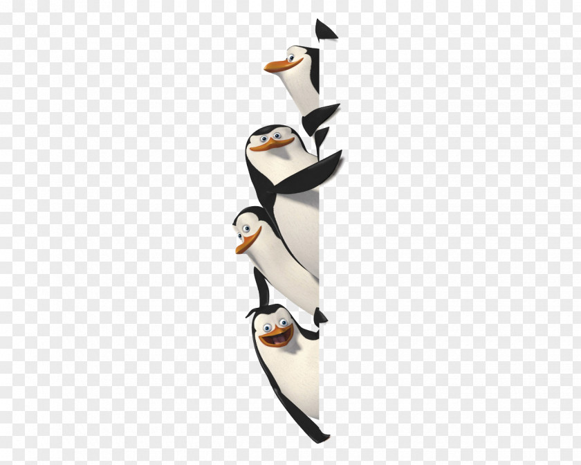 Pinguin Madagascar Film Animation Wallpaper PNG