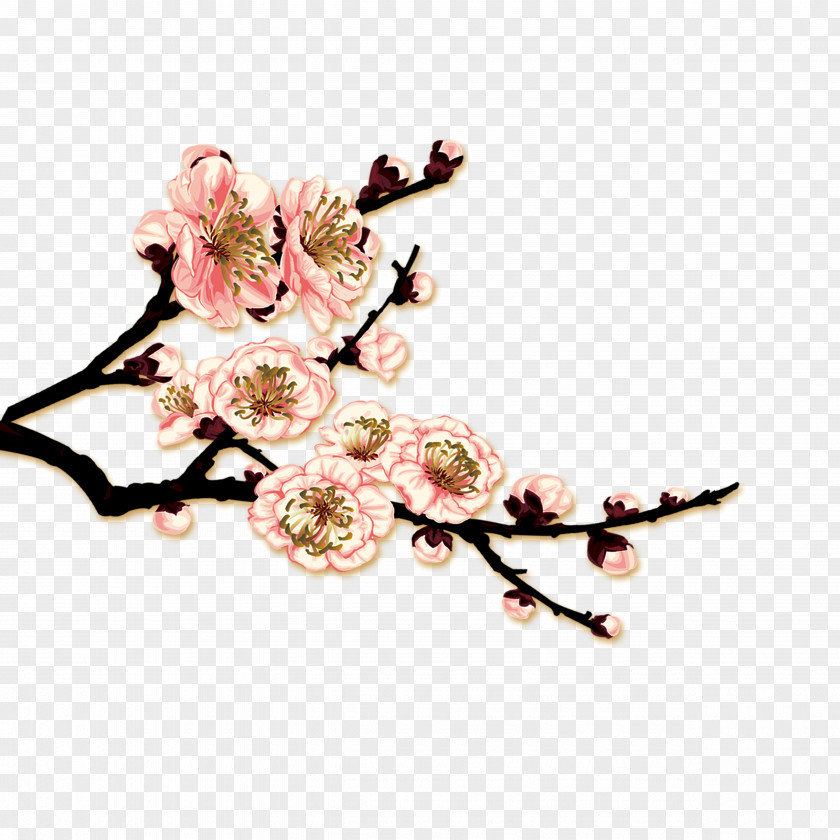 Plum Flower Blossom Adobe Illustrator PNG