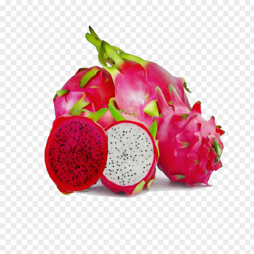 Superfood Natural Foods Cactus PNG