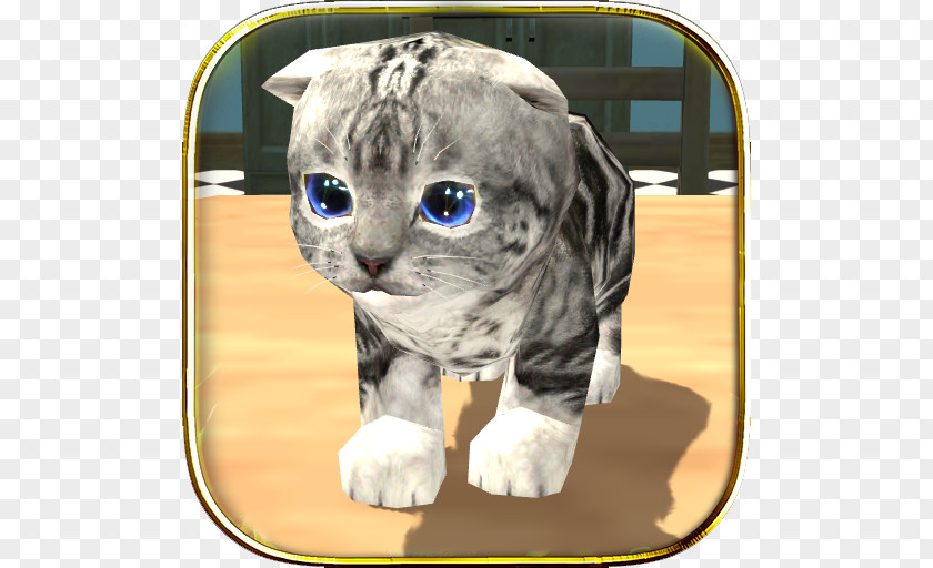 Talking Tom Bubble Shooter Cat Simulator : Kitty Craft Pro Edition Kitten FREE ONLINE GAMES PNG