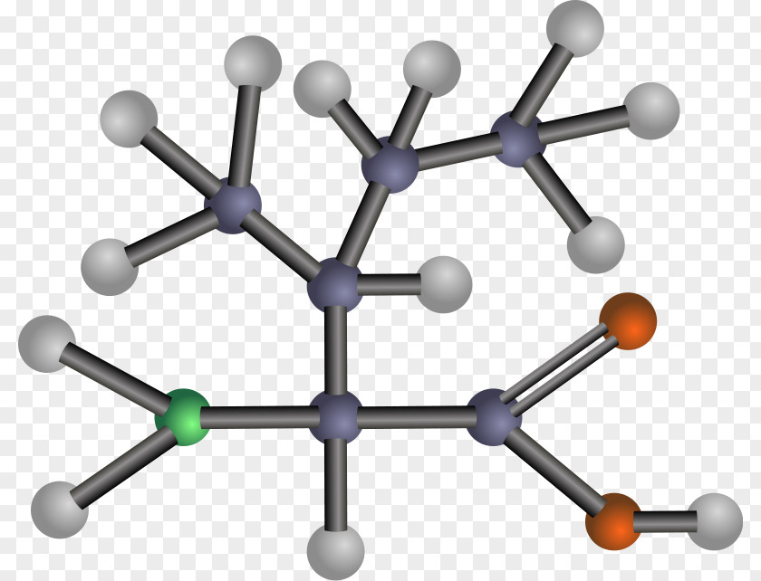 Acid Essential Amino Clip Art Asparagine Amine PNG