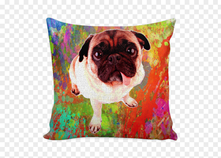 American Eskimo Dog Pug Puppy Breed Throw Pillows PNG