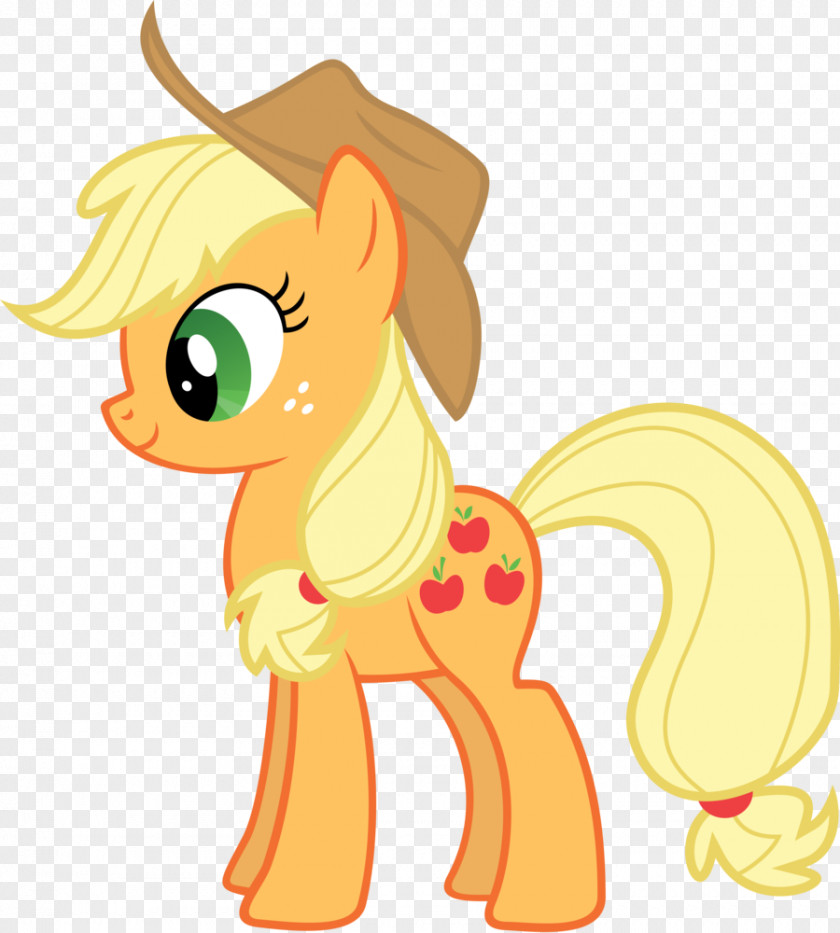 Apple Applejack Rainbow Dash Fluttershy Rarity Twilight Sparkle PNG