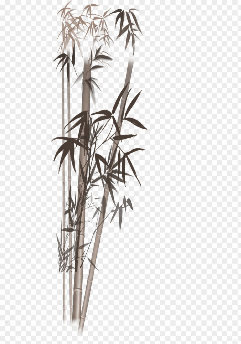 Bamboo Plant Ink Wash Painting Inkstick Image PNG