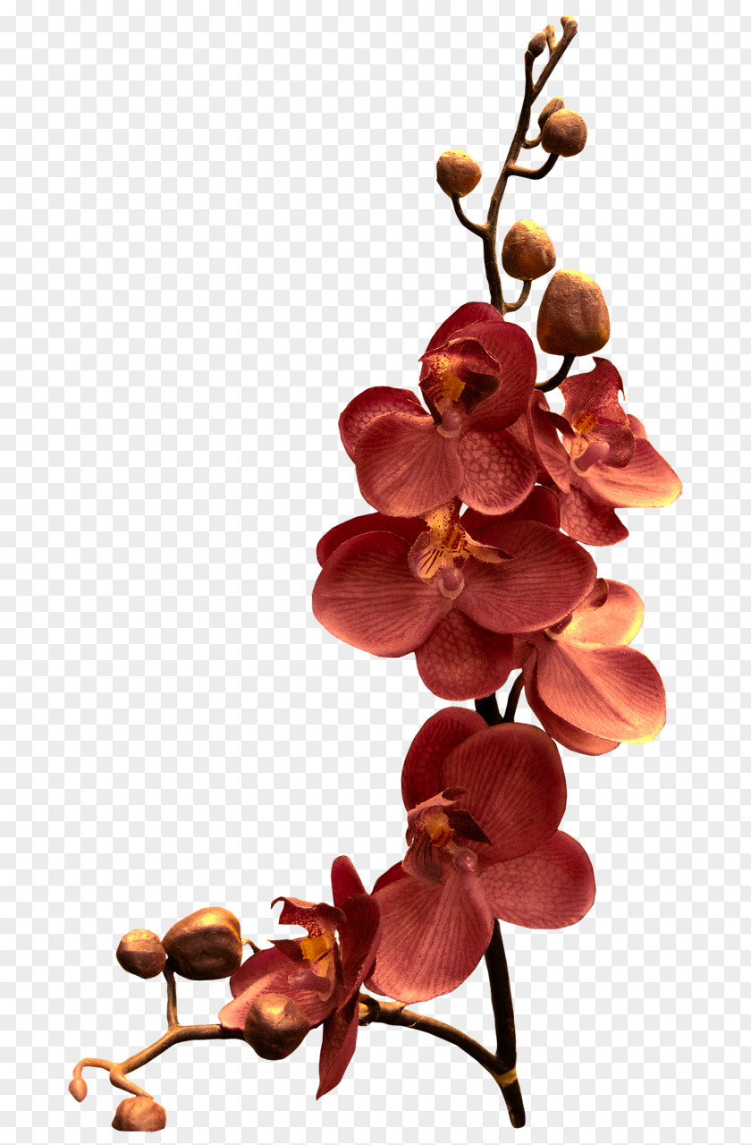 Mystique Orchids Watercolor Painting Flower PNG