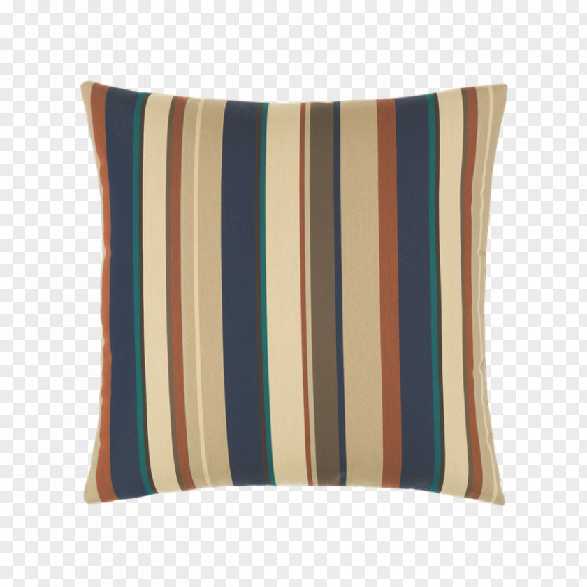 Pillow Goose Copper Fashion Teal PNG