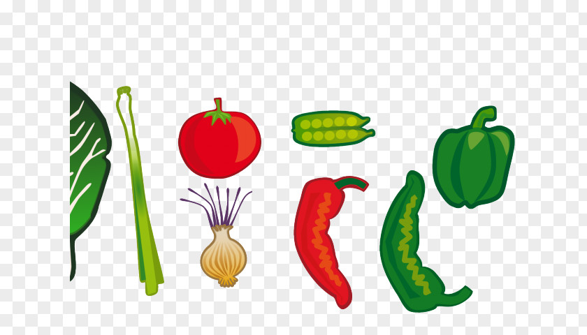 Vegetables Cartoon Hand Drawn Vegetarian Cuisine Vegetable Clip Art Fruit PNG