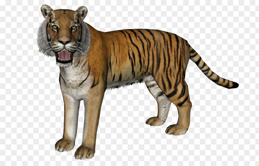 Zoo Tycoon 2 Trinil Tiger Javan Bali PNG