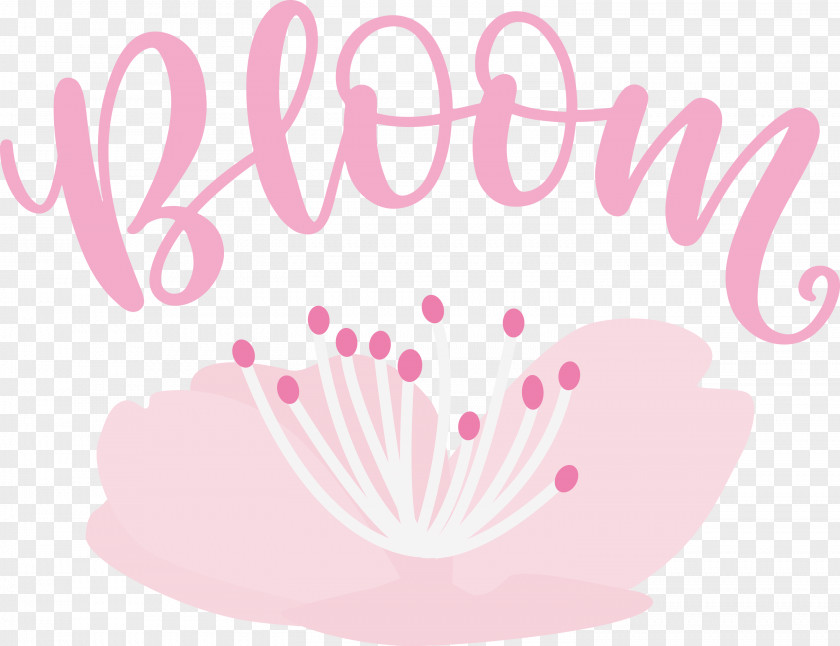 Bloom Spring Flower PNG