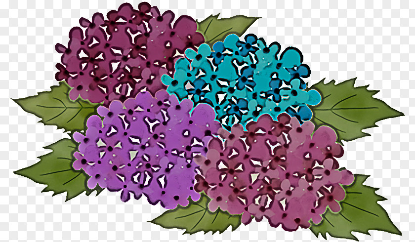 Floral Design PNG