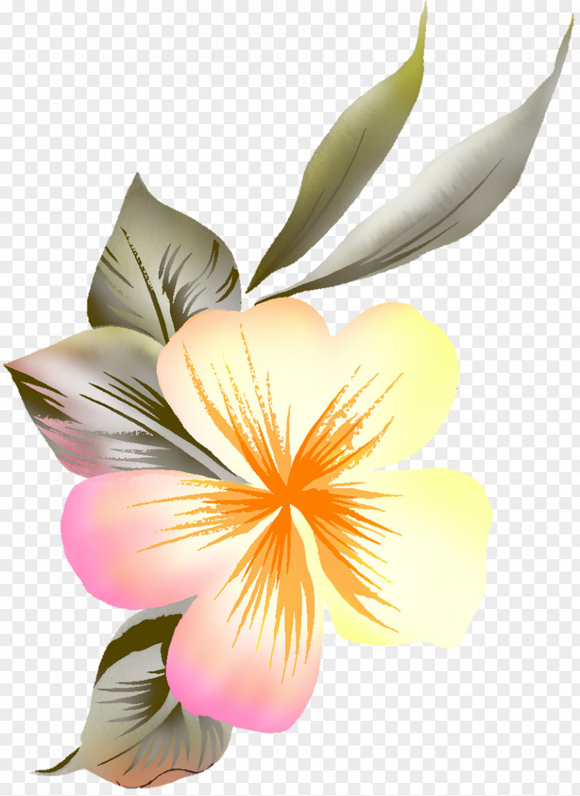 Handpaint Flowers Greeting Drawing Clip Art PNG