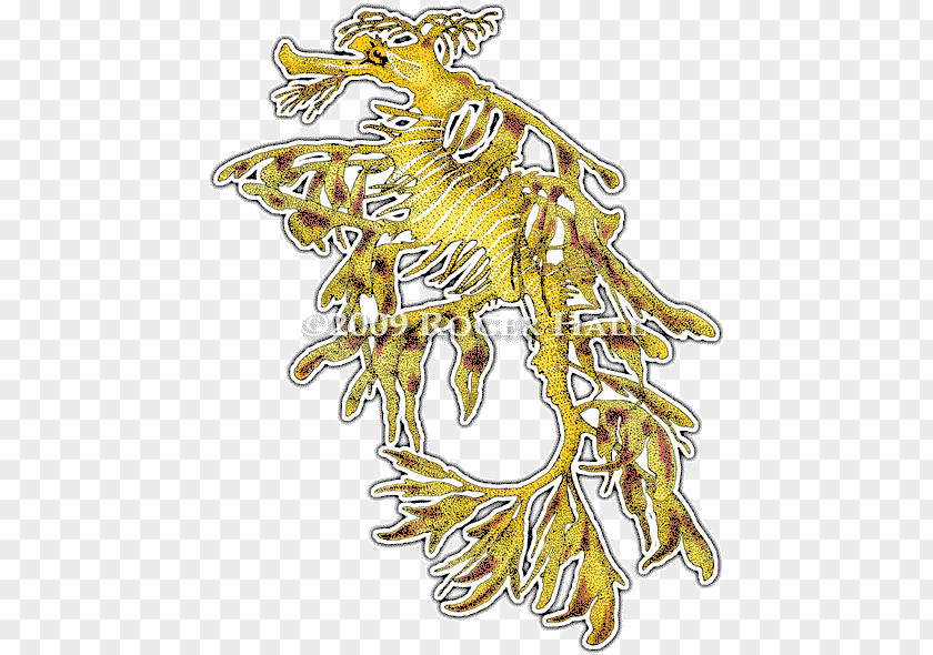 Leafy Sea Dragon Diagram Drawing Seadragon Common Seahorse Vitruvian Man PNG