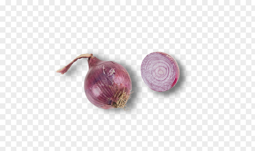 Onion Red Shallot Icon PNG