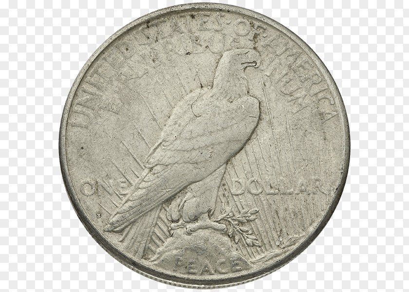 Peace Dollar Quarter Dime Nickel PNG