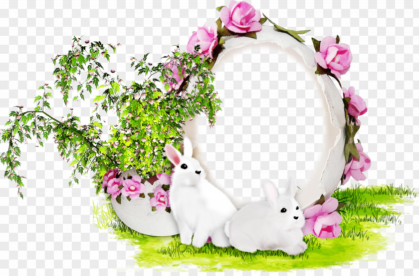 Rabbits And Hares Pink Easter Egg Background PNG