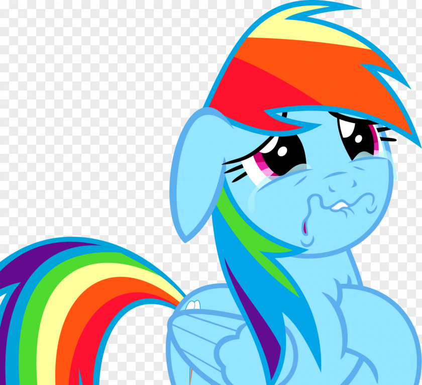 Rainbow Dash Pinkie Pie Applejack Twilight Sparkle Pony PNG