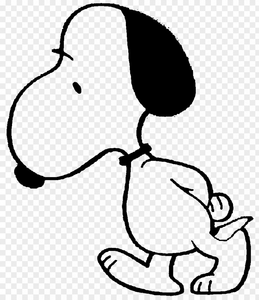Snoopy Charlie Brown Woodstock Worry PNG