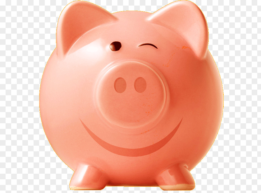 Business Small Piggy Bank Tax Domestic Pig PNG