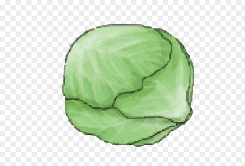 Cabbage Flag Kale Cartoon PNG