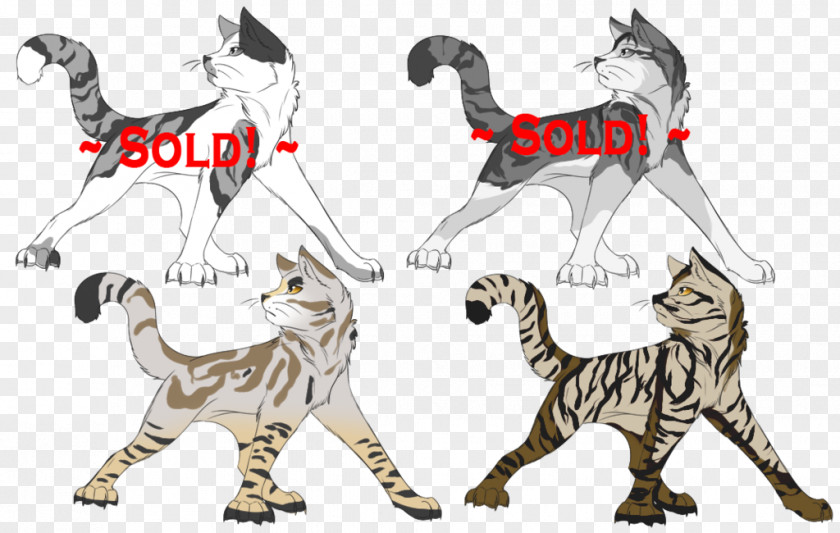 Cat Tiger Mammal Canidae Paw PNG