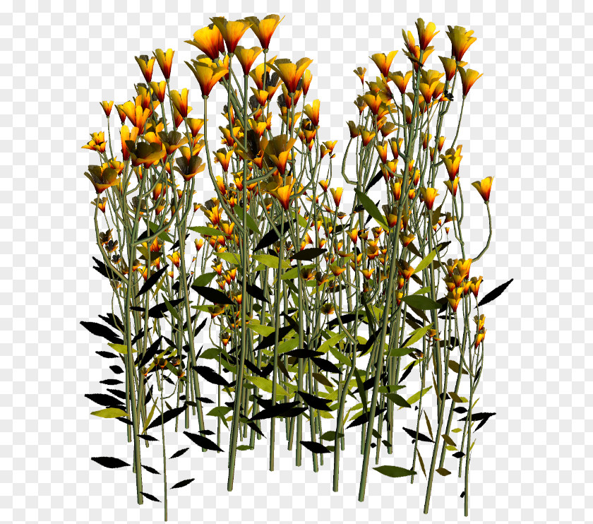 Flower PhotoScape Clip Art PNG