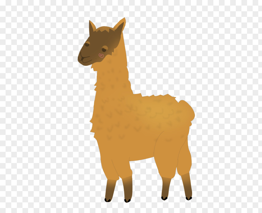 Llama Drawing Alpaca Desktop Wallpaper PNG