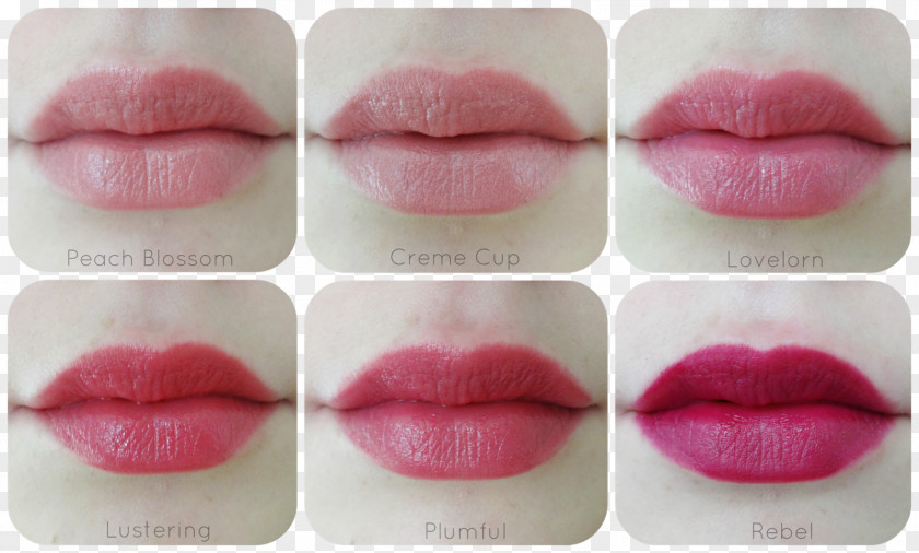 Peach Blossom Lipstick MAC Cosmetics Lip Gloss PNG
