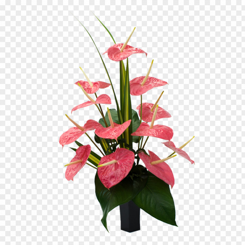 Tropical Flower Laceleaf Cut Flowers Carnation Bird Of Paradise PNG