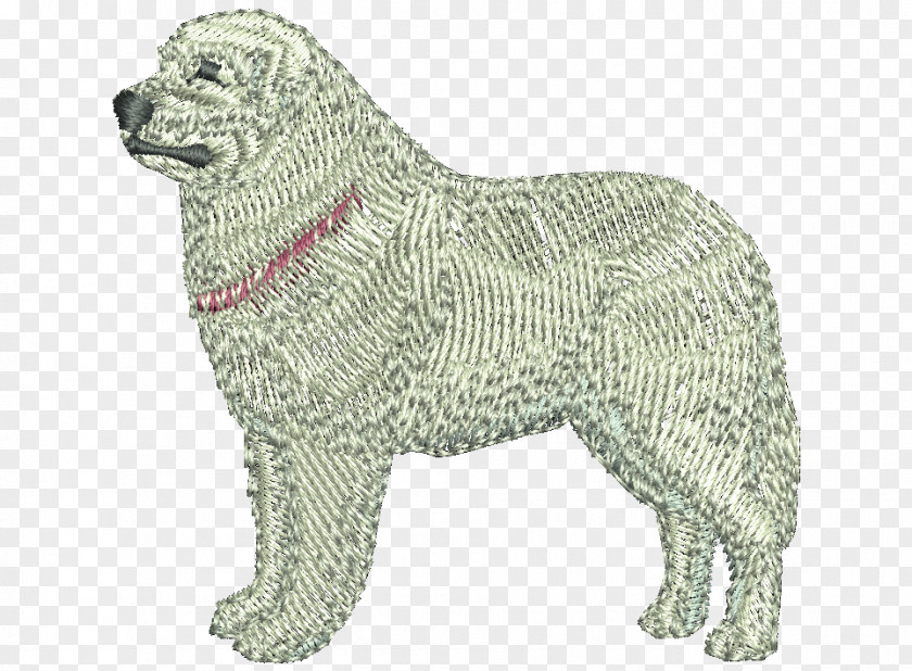 Dog Breed Rare (dog) Sporting Group PNG