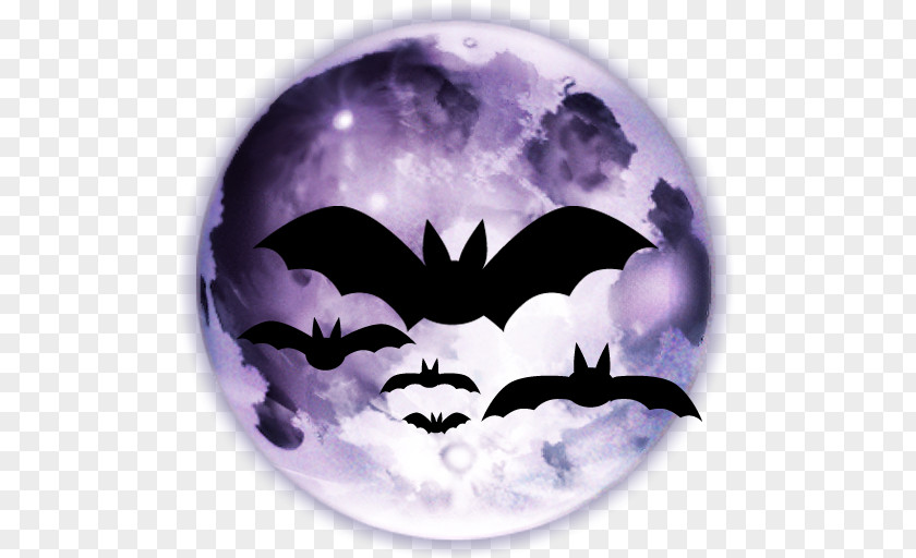 Horror Transparent Image Halloween Jack-o-lantern Iconfinder Icon PNG