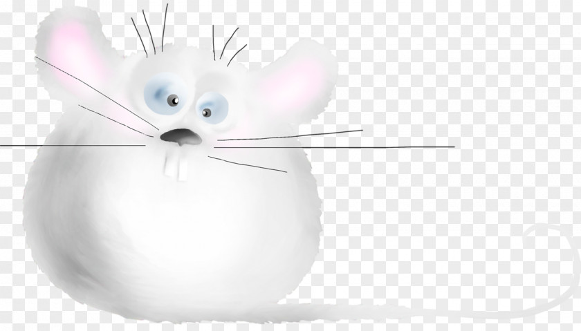 Mouse Whiskers Domestic Rabbit Rat Cat PNG