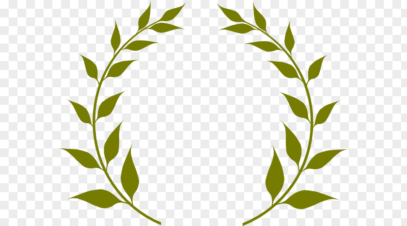 Olive Branch Wreath Clip Art PNG